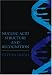 Nucleic Acid Structure and Recognition