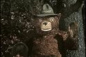 Vintage Fire Safety Films 2 DVD Set: Fire Department Education, Prevention and Forest Fires w/ Smokey the Bear