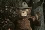 Vintage Fire Safety Films 2 DVD Set: Fire Department Education, Prevention and Forest Fires w/ Smokey the Bear