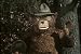 Search : Vintage Fire Safety Films 2 DVD Set: Fire Department Education, Prevention and Forest Fires w/ Smokey the Bear