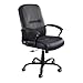 Safco Serenity Big and Tall Leather Highback Chair