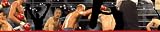 Brewster 258B75051 Boxing - The Contender Wall Border, 6-Inch Wide by 10-Foot Long