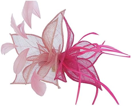 Eden Hats 2015 New Sinamay Hai Clip Fascinators Fashion Headwear (pink+rose)