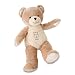Kids Preferred Asthma and Allergy Friendly Buddy Bear
