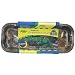 Jiffy 5719 10-Cell Seed Start Windowsill Greenhouse