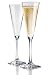 Libbey Vina Trumpet Champagne Flute, Set of 6