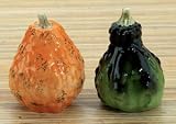 Orange & Green Gourd Salt & Pepper Shaker Home Gourmet