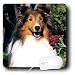 image 21 - Dogs SheltieShetland Sheepdog Shetland Sheepdog Mouse Pads