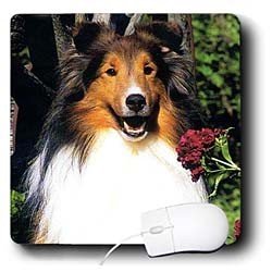 image link - - B000EG5X2A