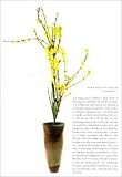 The Japanese Way of the Flower: Ikebana As Moving Meditation (Michi, Japanese Arts and Ways, V. 2) 画像