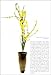 The Japanese Way of the Flower: Ikebana as Moving Meditation