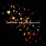 SNOW PATROL - A HUNDRED MILLION SUNS