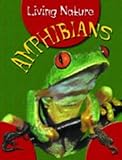 Amphibians