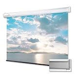 Projector Screen Manual 100"