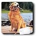 golden_retriever4golden retriever - Dogs Golden Retriever Golden Retriever Mouse Pads