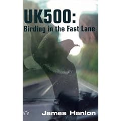 UK500 - Birding in the Fast Lane