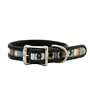 Lucky Boy Striped Dog Collar - Large (18-22 x 1W)