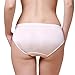 Forever Angel Women's 100% Silk Stretch Classic Bikini Panties Briefs