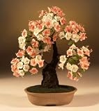 Artificial Flowering Azalea Bonsai Tree.