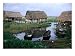 Houses on Stilts, Porto Novo, Oueme, Benin Photographic Poster Print by Jane Sweeney, 16x12
