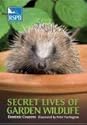 Secret Lives