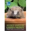Secret Lives of Garden Wildlife (RSPB)