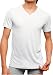 グンゼ BODY WILD CoolBalance VネックTシャツ BWC115S