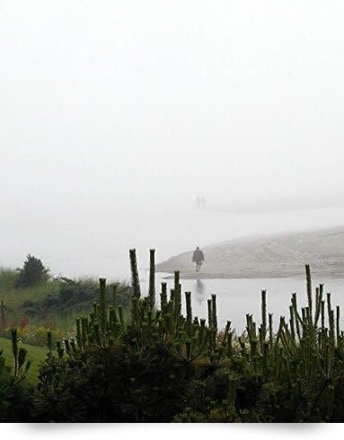 Misty Morning (Giclee Art Print), Debbie Vinci