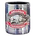 Arkansas Razorbacks Stainless Steel Beverage Can Cooler - NCAA College Athletics Fan Shop Sports Team Merchandise