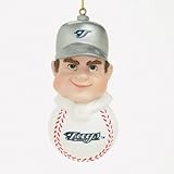 IMAGE OF Toronto Blue Jays 3