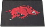 Arkansas Razorbacks All Star Indoor / Outdoor Rug