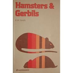 Hamsters and Gerbils