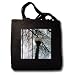Jos Fauxtographee Realistic - An old Lamp Post Looking Up Toward an Old Tree and The Sky - Tote Bags