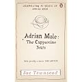 Adrian Mole: The Cappuccino Years (Adrian Mole 5)