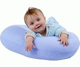 Widgey Pillow Blue Gingham