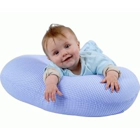 Widgey Pillow Blue Gingham