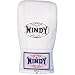WINDY(�E�B���f�B) �p���`���O�O���[�u TBG-2 �J���[��