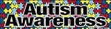 Autism Awareness Bumper Strip Magnet