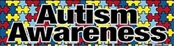 Autism Awareness Bumper Strip Magnet