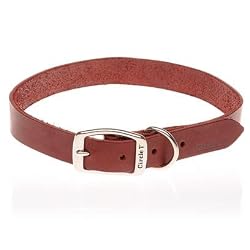 Leather Latigo Dog  Collar - 20 in. with a Width of 3/4 in.