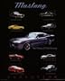 Evolution - Mustang, Mustang Decorative Poster, 16x20