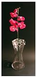 Review WebVase WEBVASE / Webvase (Single) - Flower Arranging Aid for Vases