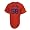 Jonathan Papelbon Boston Red Sox Alternate Replica Jersey (Small)