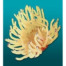 Natures Image No. 39BP Anemone Yellow 5.5in x 5in x 3in Coral Reproduction by Natures Image
