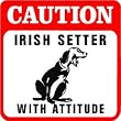 CAUTION: IRISH SETTER dog hunt pet fun sign
