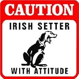 CAUTION: IRISH SETTER dog hunt pet fun sign