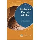 Fundamentals of Intellectual Property Valuation: A Primer for Identifying and Determining Value by  Wes Anson
