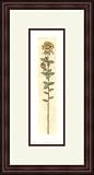 Rose Bud & Yellow Rose by David Olson - Framed Artwork