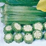 Organic Seeds - Organic Okra Clemson Spineless 80