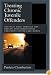 Treating Chronic Juvenile Offenders: Advances Made Through the Oregon Multidimensional Treatment Foster Care Model (Law and Public Policy: Psychology and the Social Sciences)